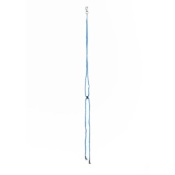 Dragonne bleue