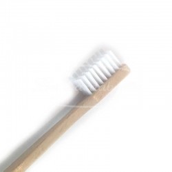 Brosse à dents en bois de hêtre vegan poils de ricin